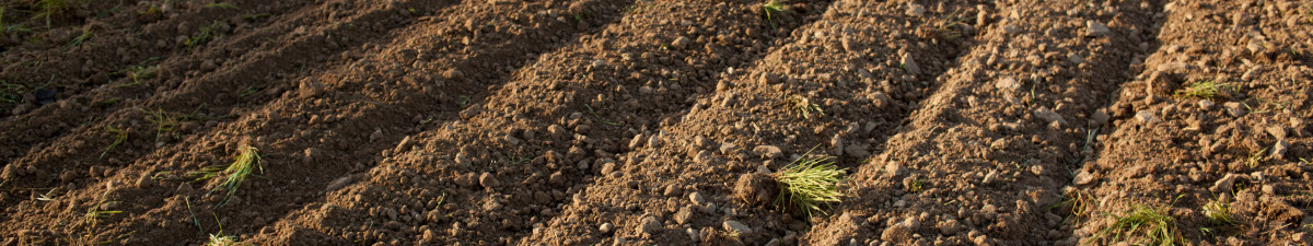 Precision Ag Products header image