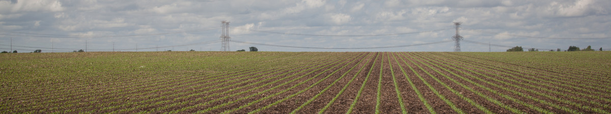 Precision Ag Products header image