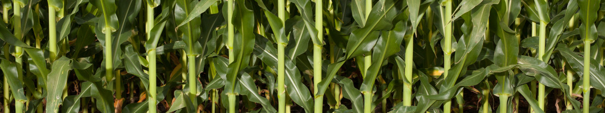 Precision Ag Products header image